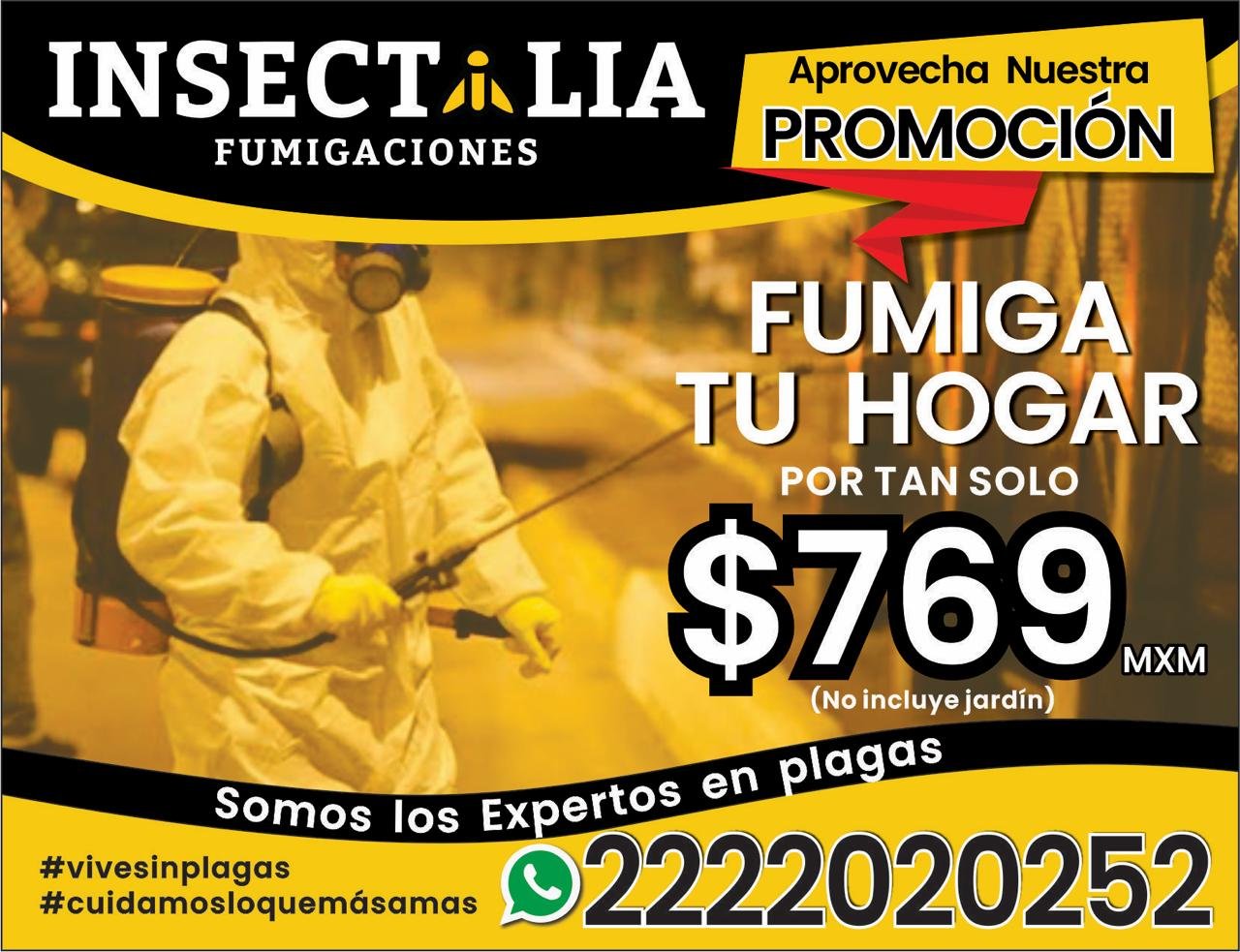 Insectalia Fumigaciones