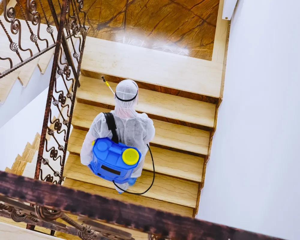 Experto en exterminación de plagas, brindando un servicio de fumigación de casas para eliminar todo tipo de peste.