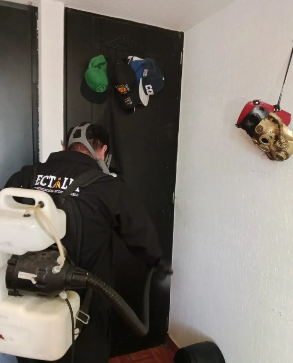 Experto en fumigaciones usando equipo de protección mientras aplica productos certificados para fumigar cucarachas en la entrada de una habitación.
