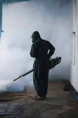 Imagen profesional de técnico fumigador, evidenciando qué son las plagas y cómo se combaten con soluciones seguras y efectivas.