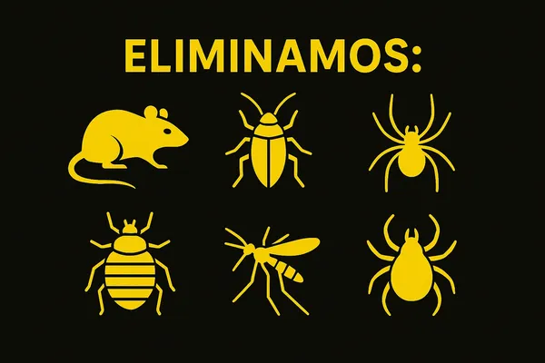 Descubre qué es control de plagas y cómo mantenemos tu hogar seguro frente a infestaciones. Imagen detallada de varias plagas mostrando claramente su aspecto para entender mejor qué es control de plagas seguro y profesional.