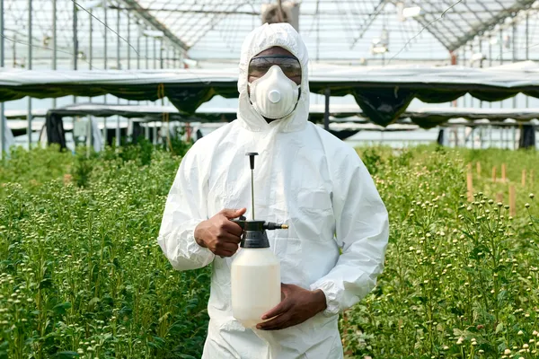 Imagen de especialista listo con protección y herramientas para tratar distintos tipos de plagas en plantas bajo invernadero.