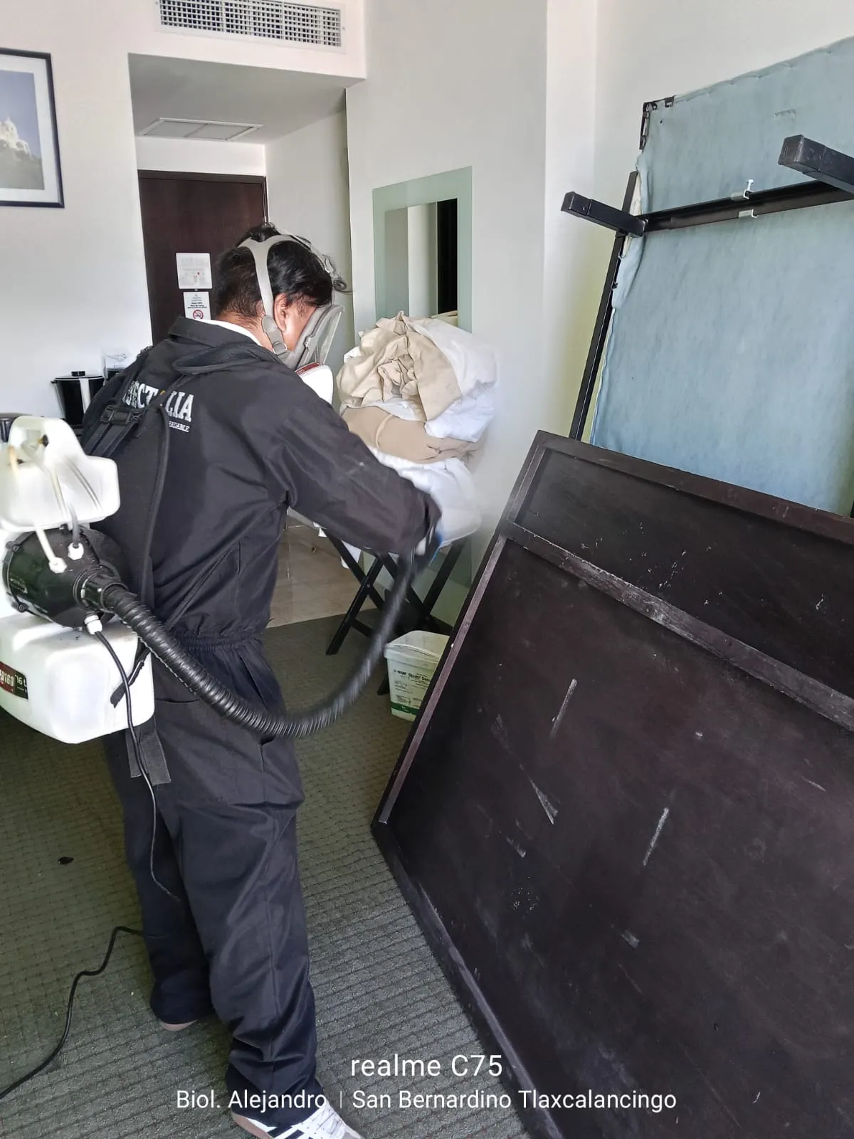 Imagen sobre qué significa plaguicidas y cómo su uso controlado contribuye a un entorno saludable y libre de riesgos.