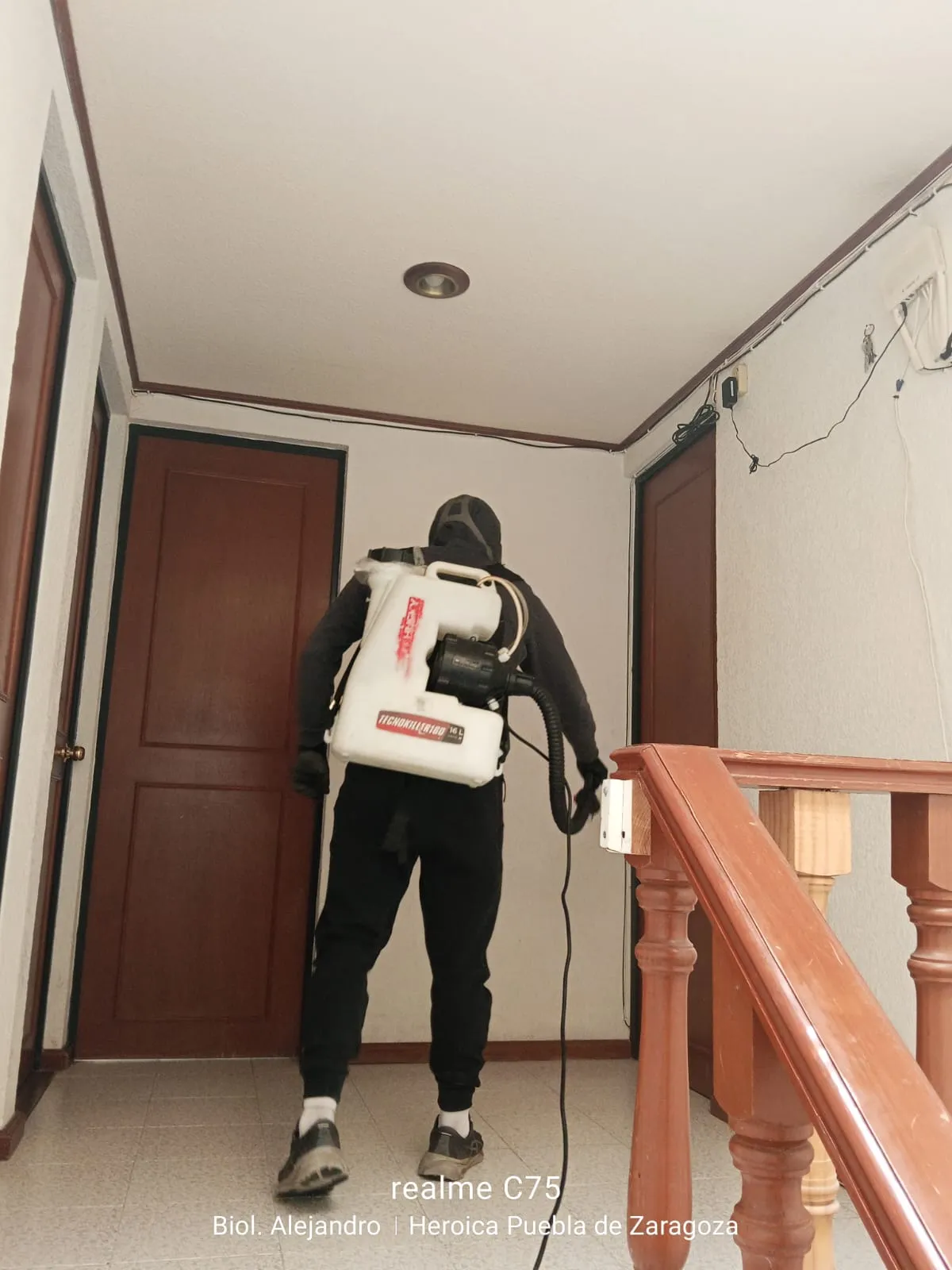 Imagen de un técnico realizando un servicio de fumigación en las escaleras de una vivienda, enfocado en el control de plagas.