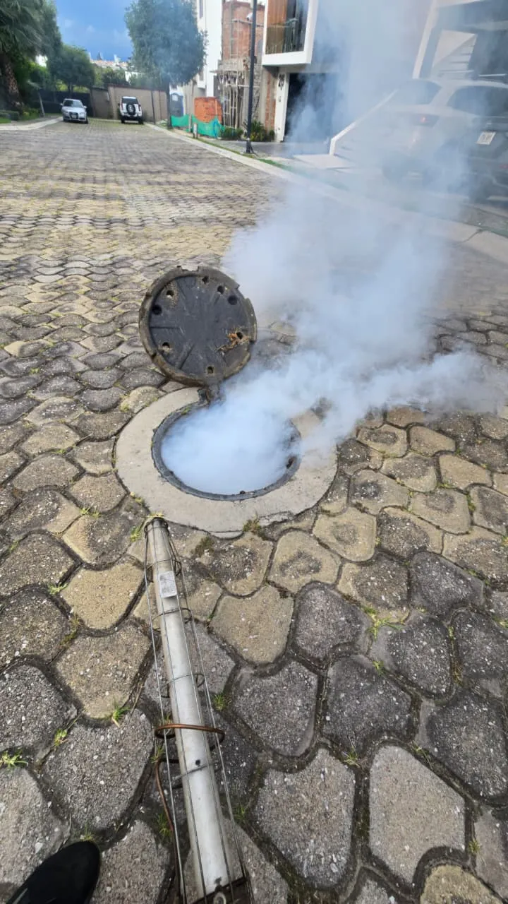 Imagen que muestra el servicio de fumigación de ratas en un desagüe, destacando la importancia de mantener un ambiente libre de plagas.