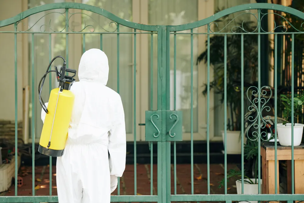 Solución de fumigación de arañas enfocada en bienestar, confianza y protección continua para quienes buscan espacios tranquilos y limpios