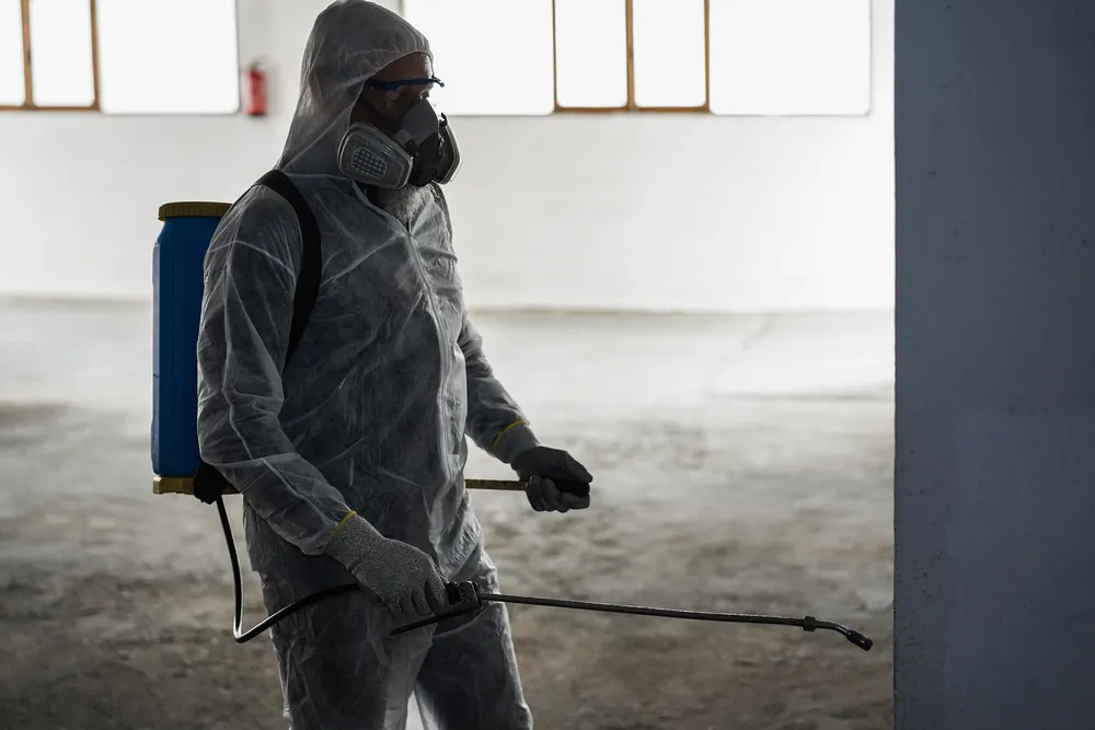 Programas avanzados de fumigaciones Puebla diseñados para ofrecer control integral y resultados totalmente garantizados. Imagen de aplicación profesional de fumigaciones Puebla usando métodos avanzados que aseguran resultados duraderos en interiores y exteriores.