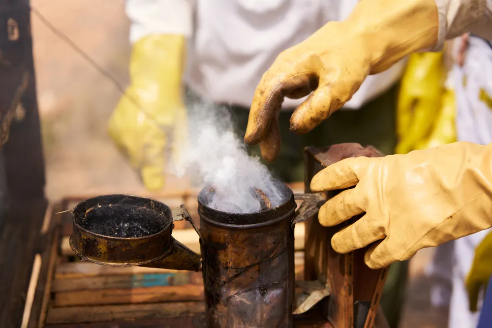 Estrategia que reduce infestaciones usando fumigación por cebos, ofreciendo resultados constantes sin afectar rutinas de los usuarios.