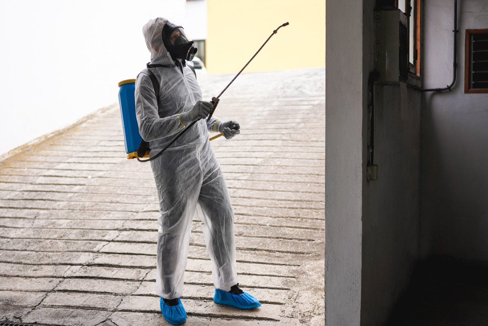 Aplicación de fumigación de hormigas en paredes de cochera para mantener espacios limpios y libres de plagas.