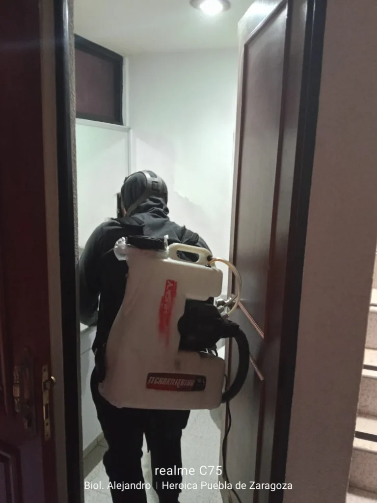 Control-de-plagas-de-manera-efectiva-con-Insectalia