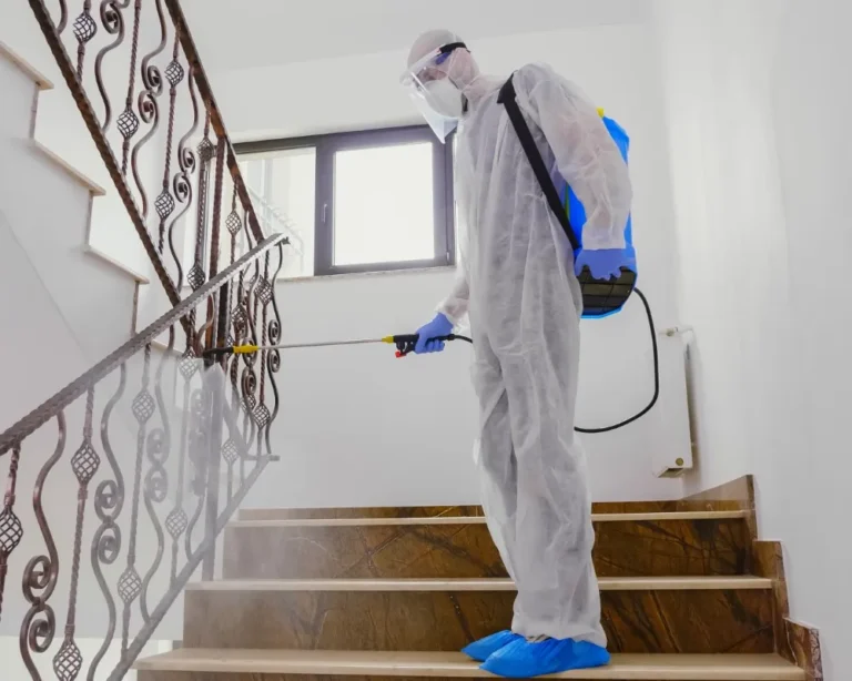 Cuanto-cuesta-fumigar-una-casa-con-profesionales