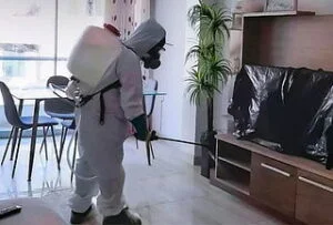 Fumigacion-departamentos-300x203-1