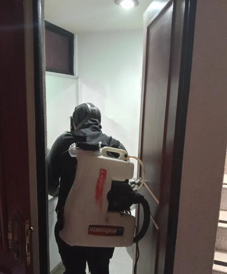 Fumigar-cucarachas-para-mantener-una-vivienda-libre-de-plagas