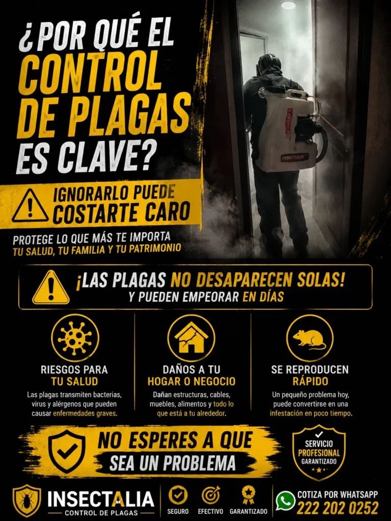 control de plagas profesional importancia fumigación hogar seguridad insectalia