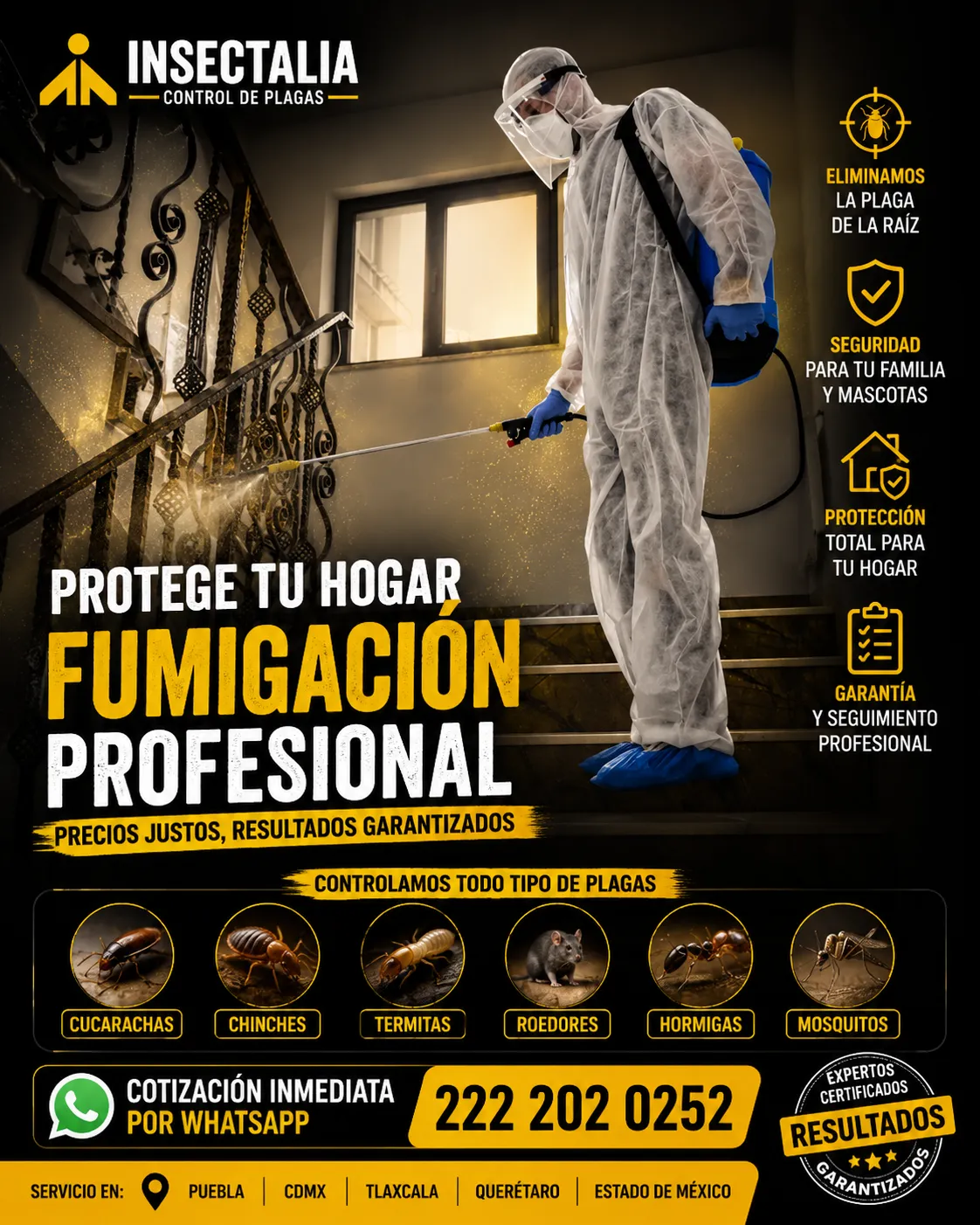 ¿Por qué elegir Insectalia para fumigar una casa? Técnicos certificados en control profesional de plagas