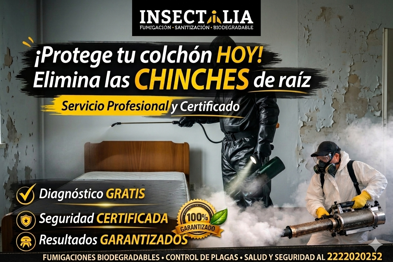Fumigación de plagas en casa en Puebla control de plagas profesional servicio certificado