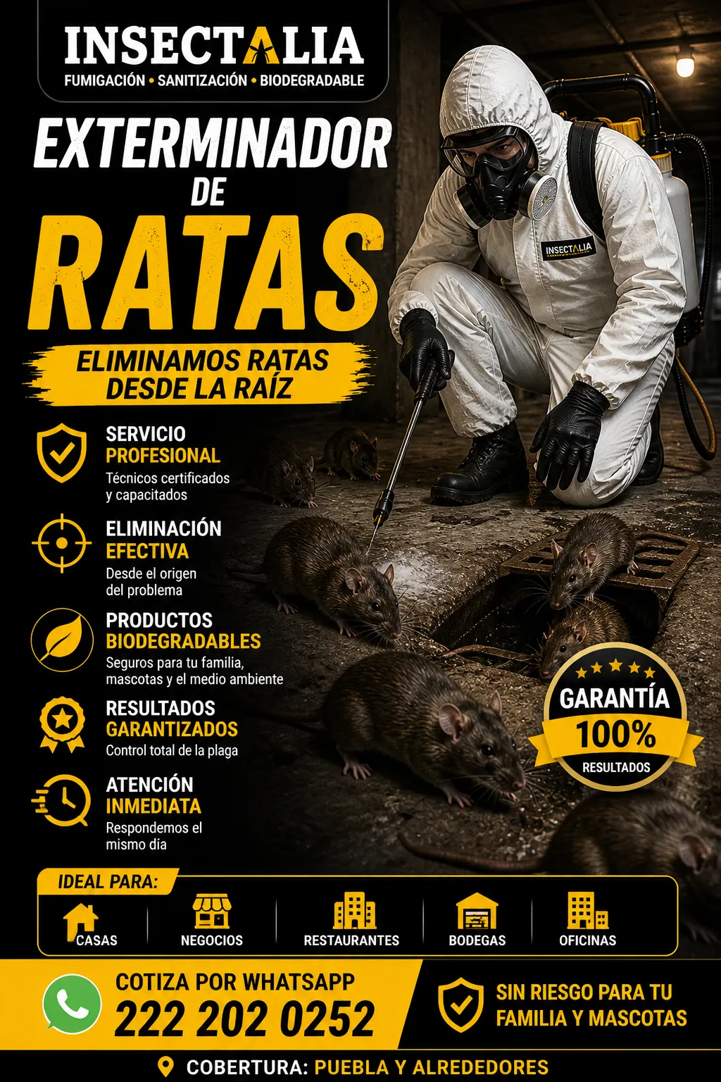 Exterminador de ratas aplicando tratamiento profesional en casa con infestación