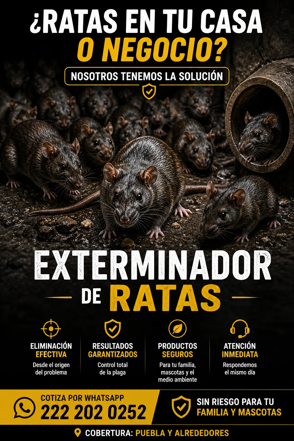 Plaga de ratas en casa o negocio con servicio exterminador de ratas profesional