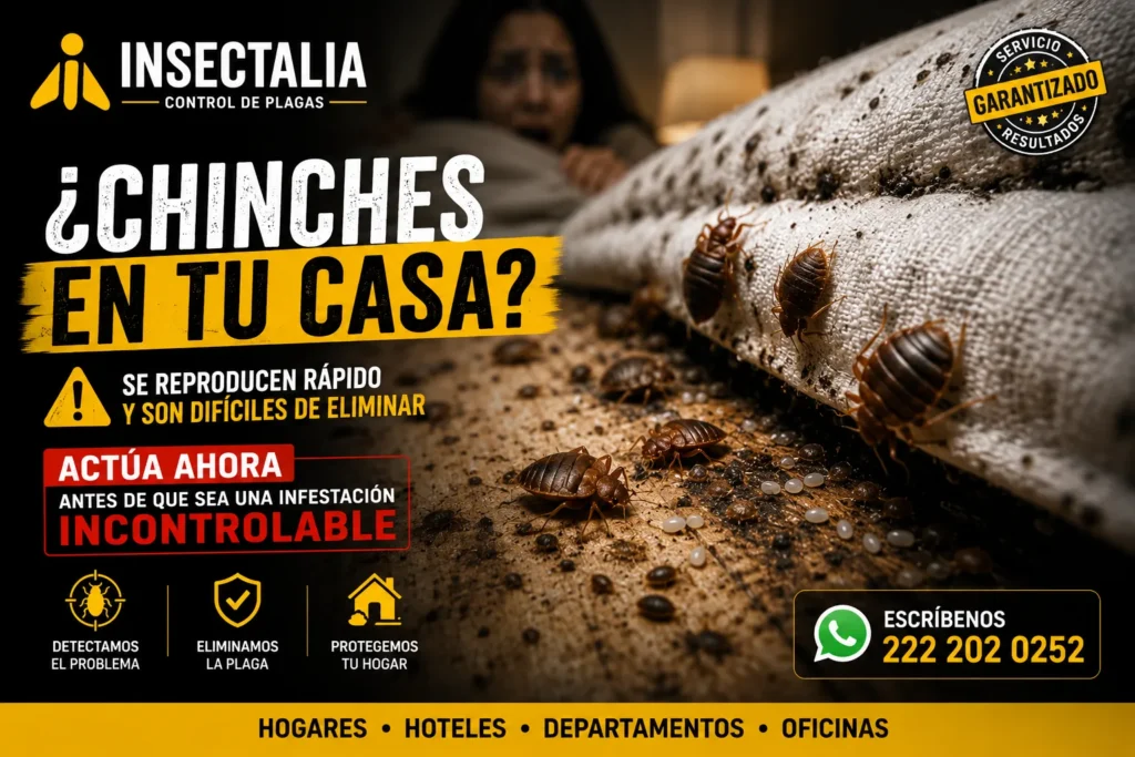 Familia observando una enorme chinche entrando a su hogar como símbolo de infestación severa
