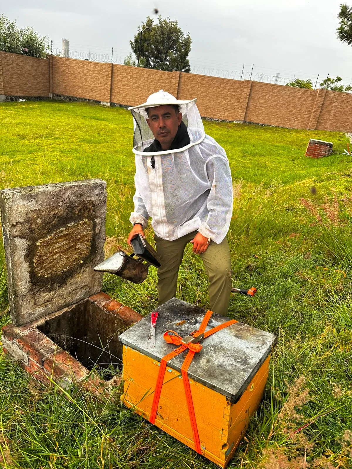 Abejas reubicadas en zona natural para continuar su ciclo de polinización