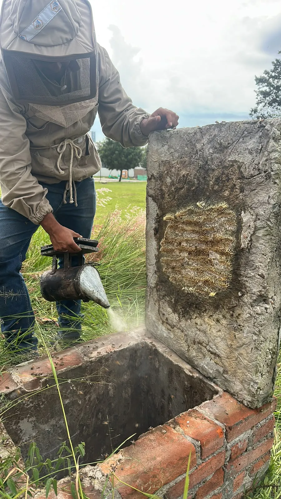 Retiro responsable de panal de abejas en inmueble de San Andrés Cholula