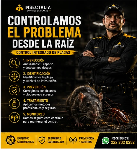 Control integrado de plagas: identificar el origen del problema Control integrado de plagas para identificar el origen de una infestación y prevenir nuevos problemas